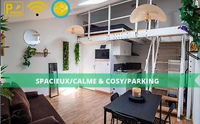 Le Charmant Accueil Viennois/T2/Wifi/Cosy/Parking